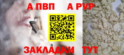 стаф Можга