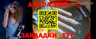 стаф Можга