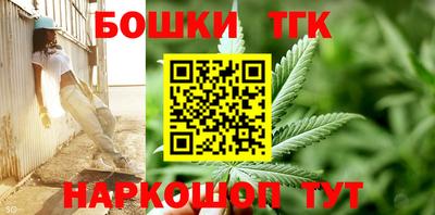 стаф Можга