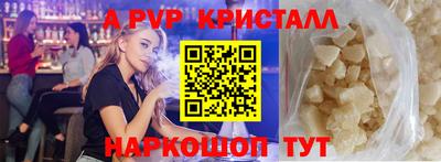 стаф Можга