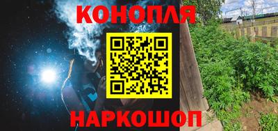 стаф Можга