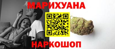 стаф Можга