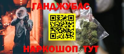 стаф Можга