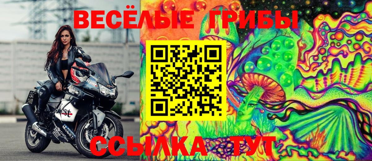 Псилоцибиновые грибы Psilocybine cubensis  магазин продажи наркотиков  Вход с VPN  Горно-Алтайск  Галлюциногенные грибы ЛСД 
